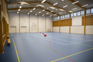Liikuntahallissa sininen lattia, kolme palloa ja koripallokori.