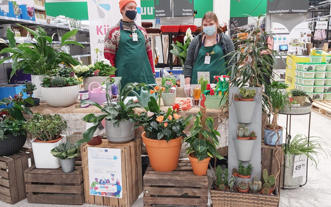 Kaksi puutarhuriopiskelijaa seisoo myymälässä viherkasvien esittelypisteen takana. Edustalla erilaisia viherkasveja.
